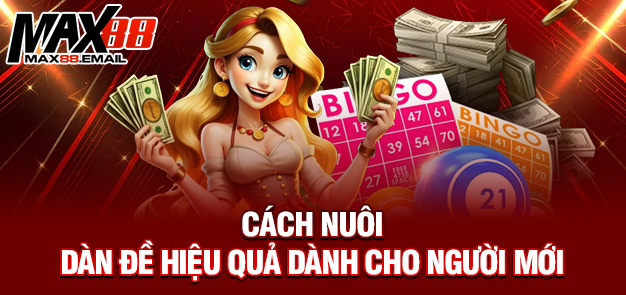 Chiến Thuật Dàn Đề 8 Số Hiệu Quả – Trải Nghiệm Trúng Lớn Cùng MAX88 2 Cách nuôi dàn đề hiệu quả dành cho người mới