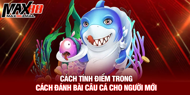 Cách Đánh Bài Câu Cá - Bí Mật Ít Ai Biết Để Trở Thành Cao Thủ 6 Cách Đánh Bài Câu Cá - Bí Mật Ít Ai Biết Để Trở Thành Cao Thủ