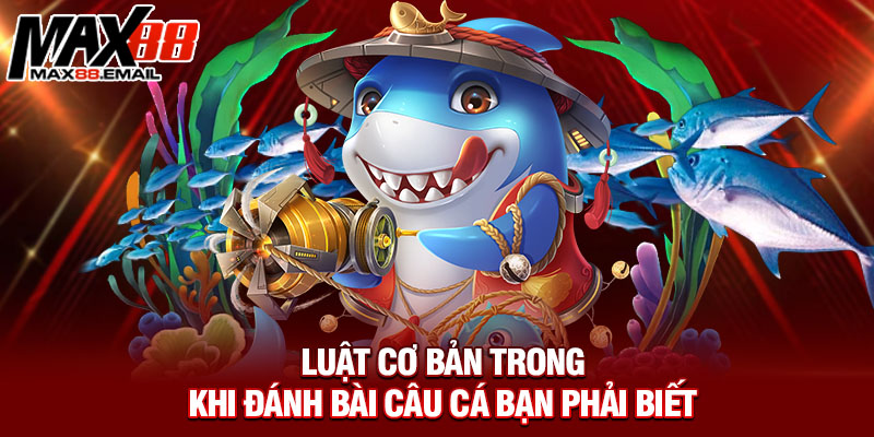 Luật cơ bản trong khi đánh bài câu cá bạn phải biết