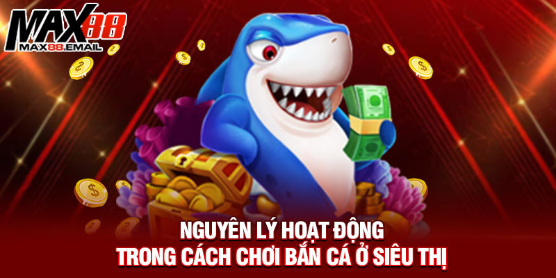 Nguyên lý hoạt động trong cách chơi bắn cá ở siêu thị